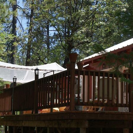 The Red Rooster Lodge Coulterville Exteriér fotografie