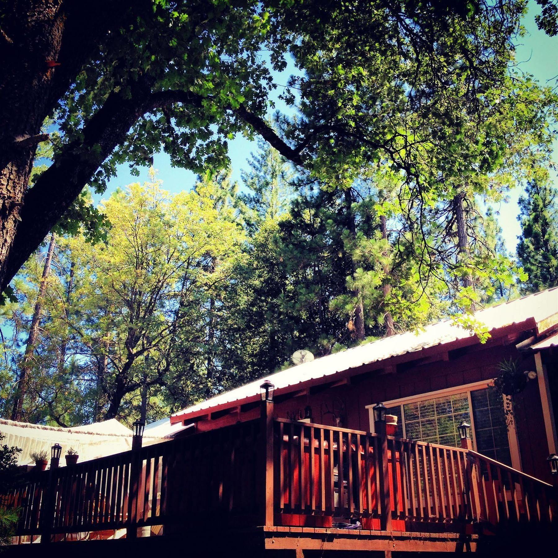 The Red Rooster Lodge Coulterville Exteriér fotografie
